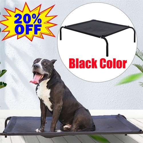 High raised dog - high,