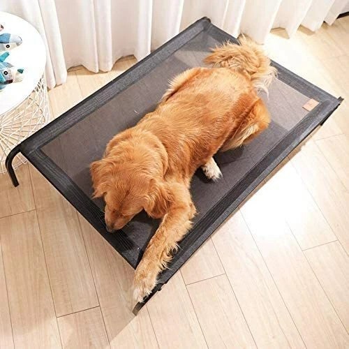 Bed dog elevated pet - dog, raised