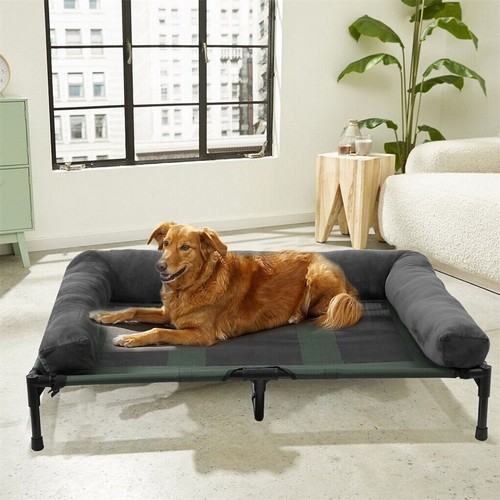 Large elevated dog bed - dog,