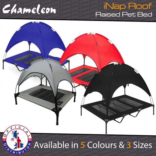 Elevated raised dog bed pet - dog,