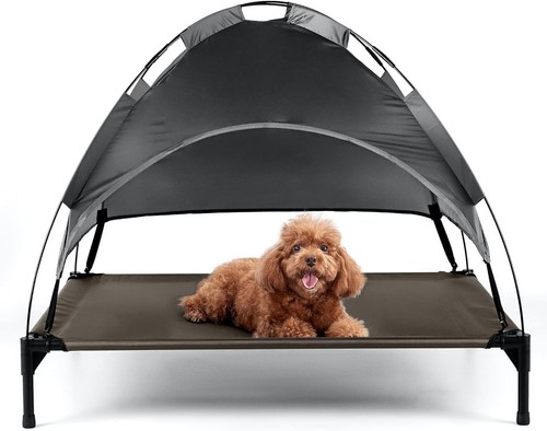 Petlicity raised dog bed - petlicity,