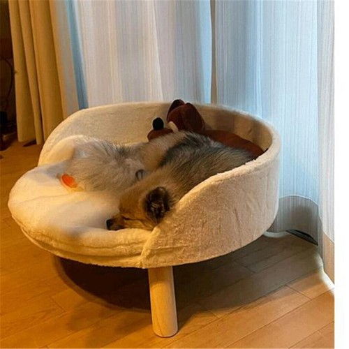 Pet sofa bed raised - pet,