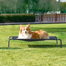 Pet Raised Dog Bed Elevated