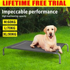 Elevated Dog Bed Pet Cat