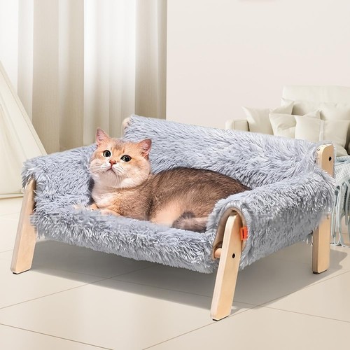 Cat lounging bed sofa - cat,