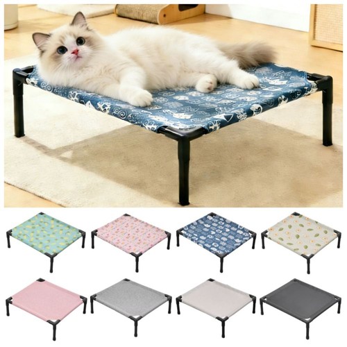 Pet dog cat elevated - dog,