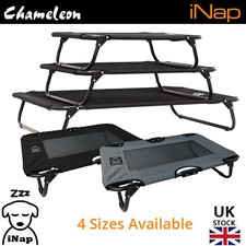 Dog Bed Raised Pet Elevated