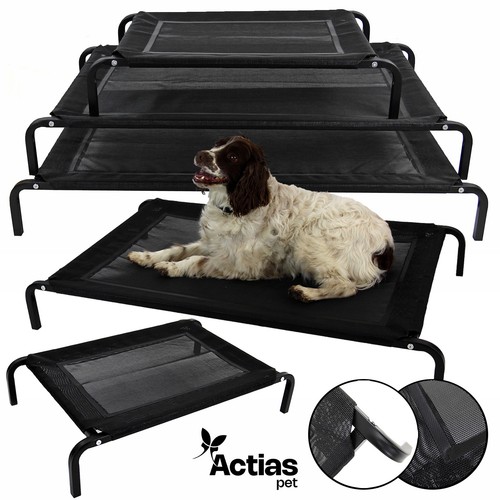 Elevated dog bed - dog, mesh