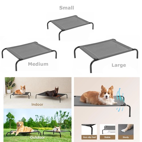 Raised dog bed elevated - dog,
