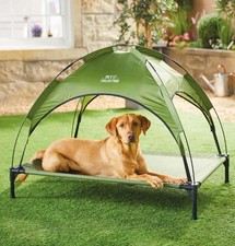 Pet Collection Raised Dog Bed