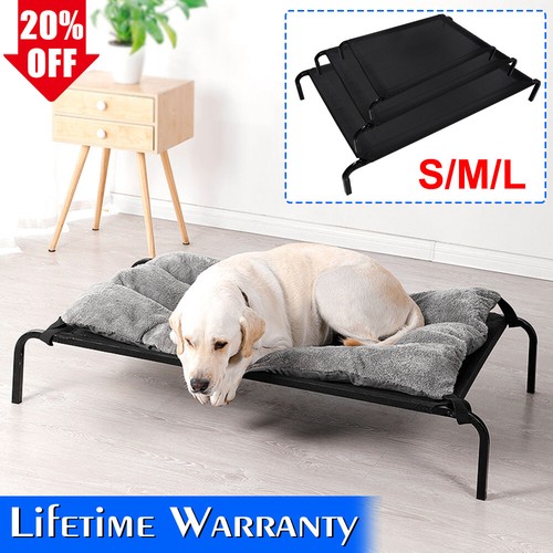 Pet elevated bed - bed, cat